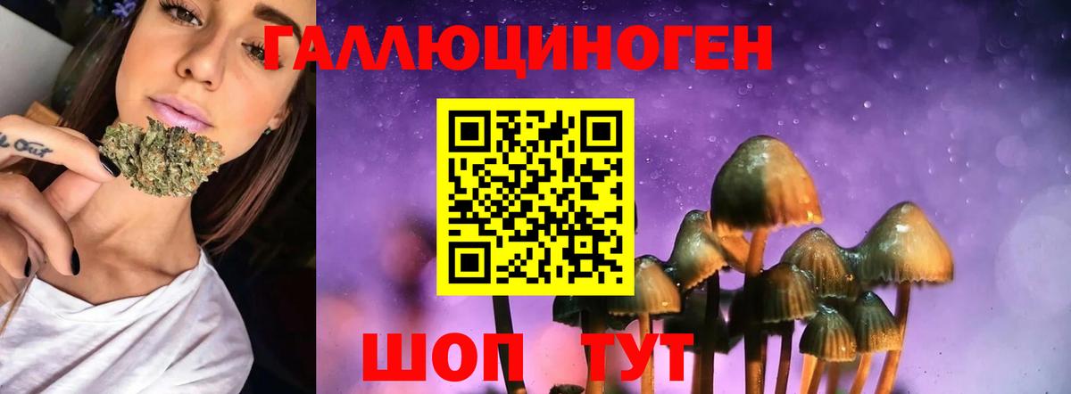 Галлюциногенные грибы Magic Shrooms  Вход с VPN  Кубинка 